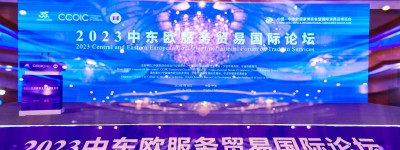 2023中东欧服务贸易国际论坛在宁波举行