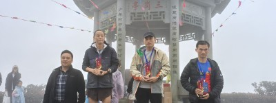 宁波杨山村旅游节启航 生态红茶绽放光彩