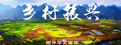 海外华文媒体国家乡村振兴重点帮扶县全球推介行动