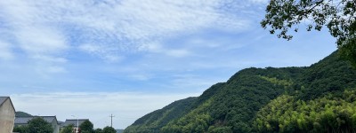 青春赴山海——宁波大学马克思主义学院为茅洋民俗文化振臂呐喊