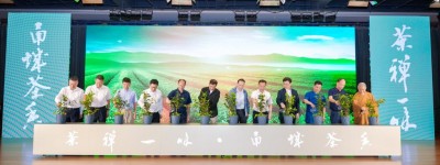 宁波举办第六个 “国际茶日” 庆祝活动：奏响茶产业与文化交响曲