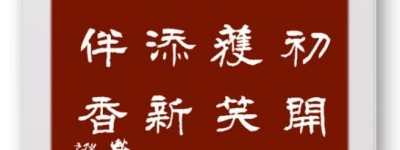 叶建华：诵吟雅韵添新趣 诗意人生齿伴香
