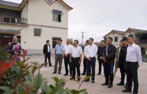 以集体经济为转轴，实现德育村民喜分红