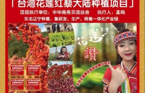 从台湾原住民“生命粮”到粤北试验田的“跨界之旅”