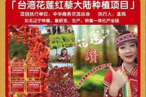 从台湾原住民“生命粮”到粤北试验田的“跨界之旅”